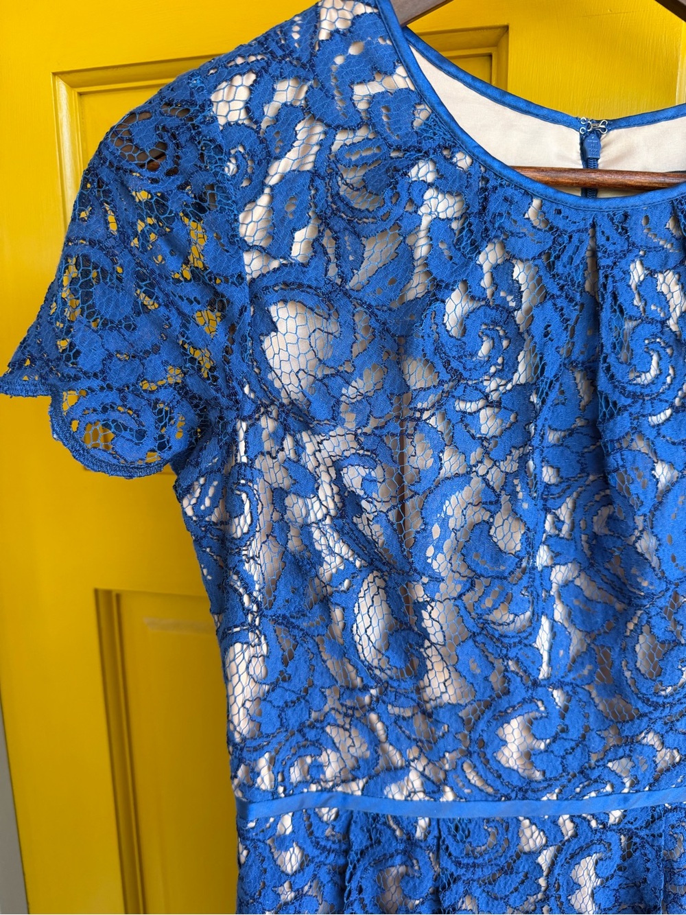 Adrianna Papell Blue Floral Lace Fit & Flare Lined Zip Round Neck Size small - Picture 3 of 13